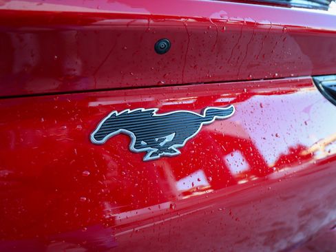 Used 2024 Ford Mustang Mach-E Select w/ Comfort Package Lite image 14