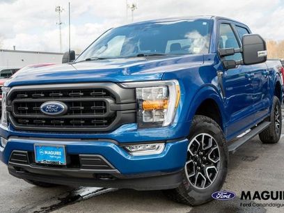 Used 2023 Ford F150 XLT w/ Equipment Group 302A High