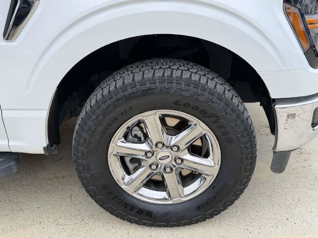 Used 2025 Ford F150 XLT w/ Equipment Group 301A Standard AWD/4WD image 7