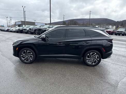 Used 2025 Hyundai Tucson Limited image 7