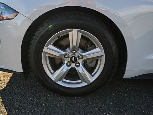 Used 2019 Ford Mustang Coupe image 12