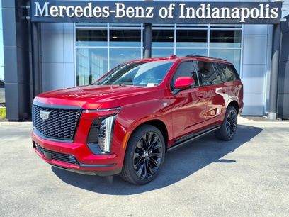 Used 2026 Cadillac Escalade Platinum Sport w/ LPO, ONYX Package