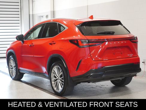 Used 2024 Lexus NX 350h AWD w/ Vision Package image 4
