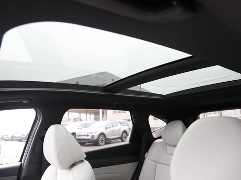 New 2026 Hyundai Tucson Limited image 14