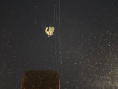 Used 2022 Land Rover Range Rover Evoque SE image 26