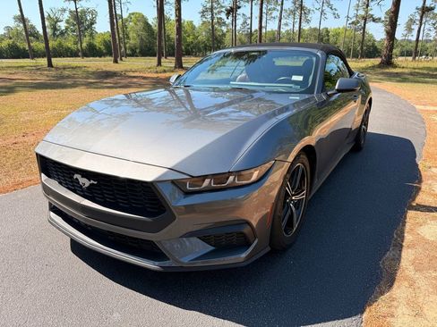 Used 2024 Ford Mustang Premium RWD image 1
