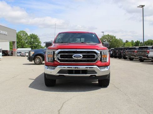 Used 2022 Ford F150 XLT w/ Equipment Group 302A High AWD/4WD image 8