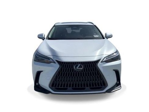 Used 2024 Lexus NX 250 250 Premium image 3