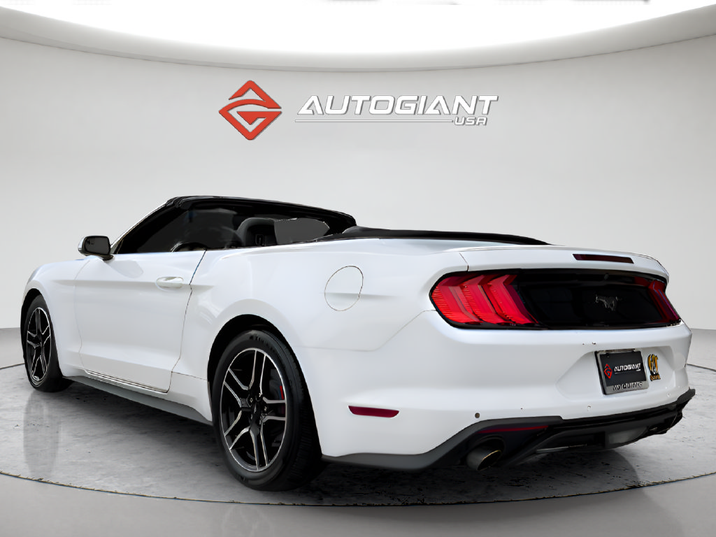 Used 2019 Ford Mustang Premium RWD image 7