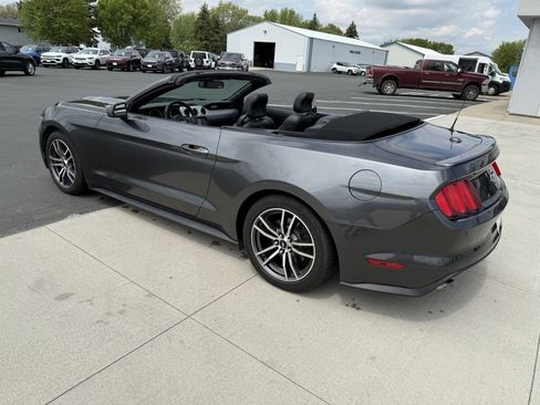 Used 2017 Ford Mustang Premium RWD image 5