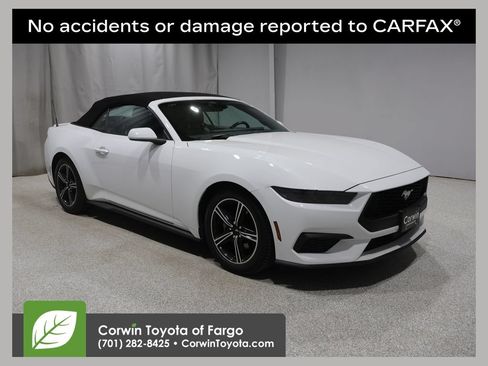 Used 2025 Ford Mustang Premium RWD image 1