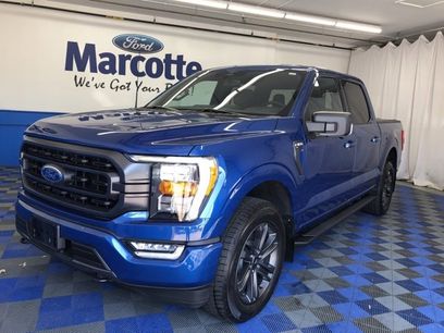 Certified 2023 Ford F150 XLT w/ Equipment Group 302A High