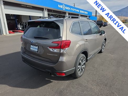 Used 2024 Subaru Forester Limited image 3
