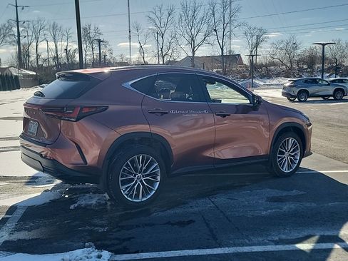 Used 2025 Lexus NX 350h AWD w/ Premium Package image 4