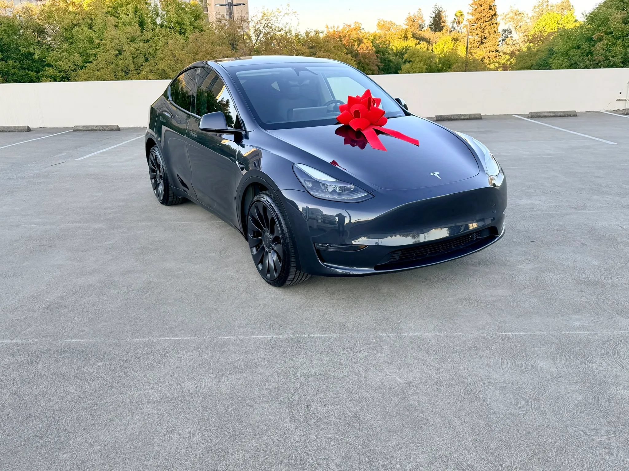 Used 2025 Tesla Model Y Long Range AWD/4WD image 4