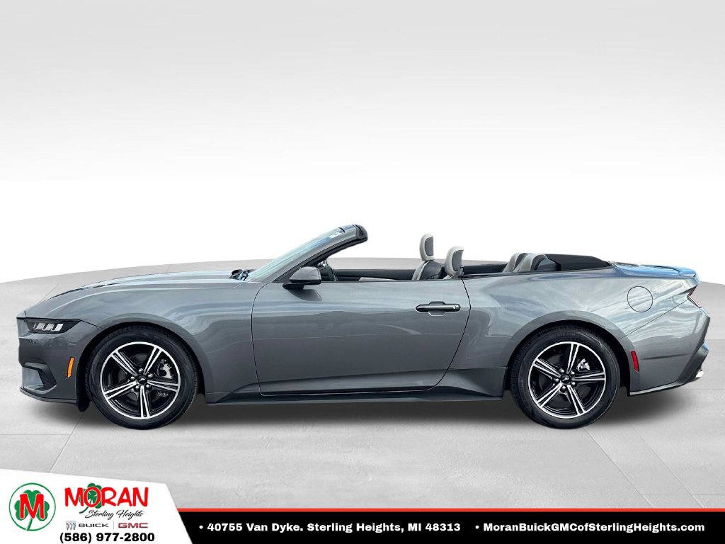 Used 2024 Ford Mustang Premium RWD image 2