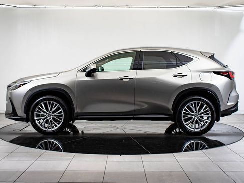 Certified 2025 Lexus NX 350 AWD w/ Premium Package image 12