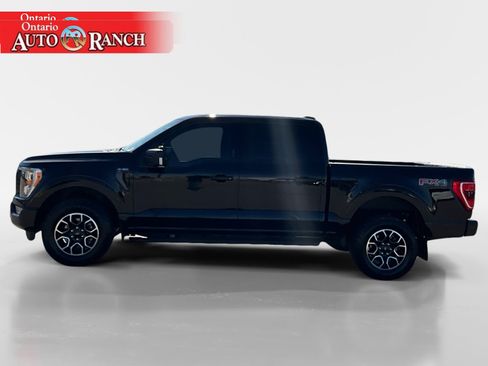 Used 2023 Ford F150 XLT w/ Equipment Group 302A High AWD/4WD image 2