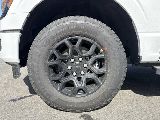 Used 2026 Ford F150 XLT w/ Equipment Group 302A MID AWD/4WD image 10