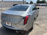 Used 2023 Cadillac CT4 Premium Luxury w/ Climate Package image 6