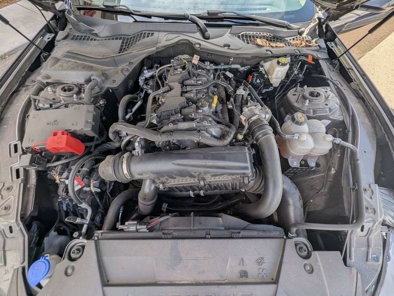 Used 2024 Ford Mustang Coupe RWD image 26