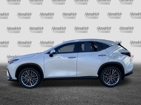 Used 2025 Lexus NX 350 AWD w/ Cold Area Package image 7