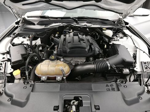 Used 2019 Ford Mustang Premium w/ Black Accent Package image 35