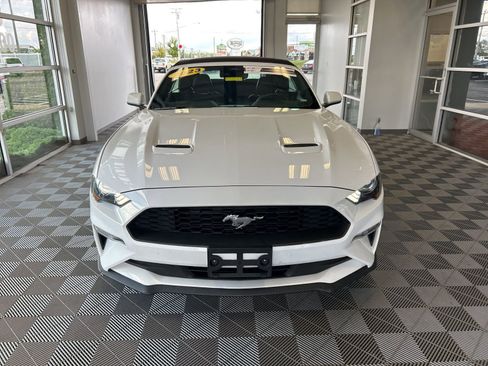 Used 2023 Ford Mustang Premium image 2