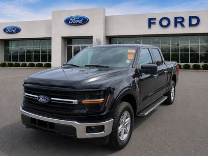 Certified 2025 Ford F150 XLT w/ Equipment Group 301A Standard