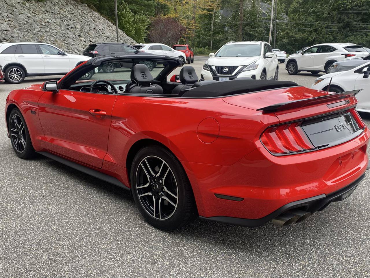 Used 2022 Ford Mustang GT Premium w/ Equipment Group 401A RWD image 3