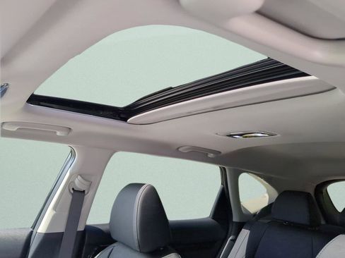 New 2026 Kia Seltos SX w/ SX Sunroof Package image 15