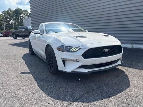 Used 2019 Ford Mustang Premium w/ Ecoboost Performance Package RWD image 1