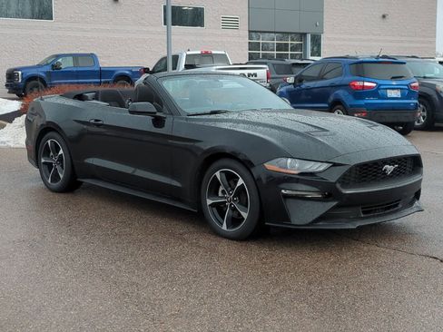 Used 2018 Ford Mustang Convertible w/ Equipment Group 101A image 2