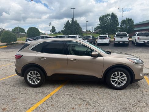 Used 2020 Ford Escape SE FWD image 4