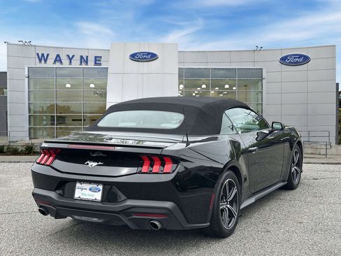 Used 2024 Ford Mustang Premium RWD image 5