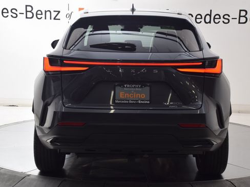 Used 2023 Lexus NX 350 AWD image 5