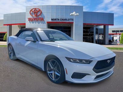 Used 2024 Ford Mustang Premium