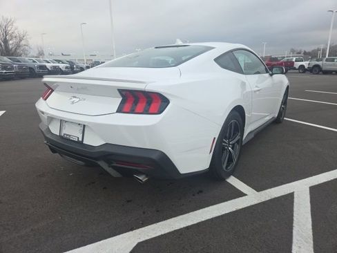 Used 2025 Ford Mustang Premium RWD image 3