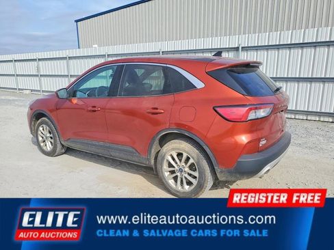 Used 2020 Ford Escape SE AWD/4WD image 4