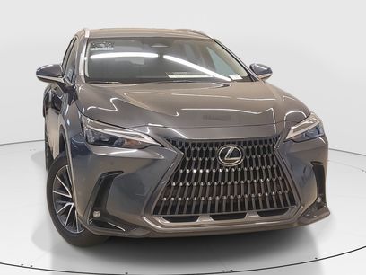 Certified 2025 Lexus NX 250 FWD w/ Premium Package