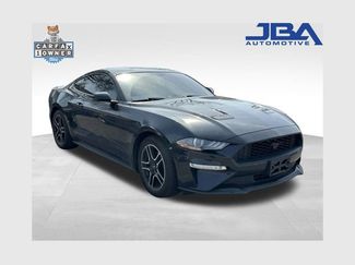 Used 2020 Ford Mustang Premium video 1