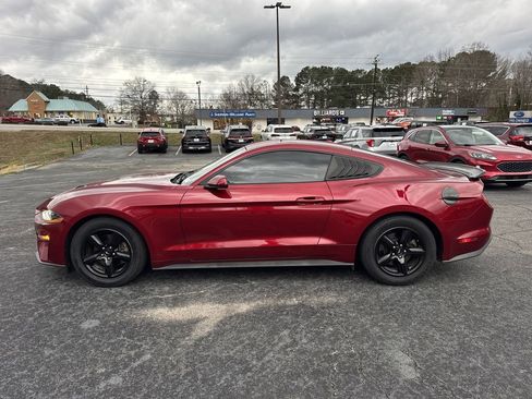 Used 2019 Ford Mustang Coupe image 4