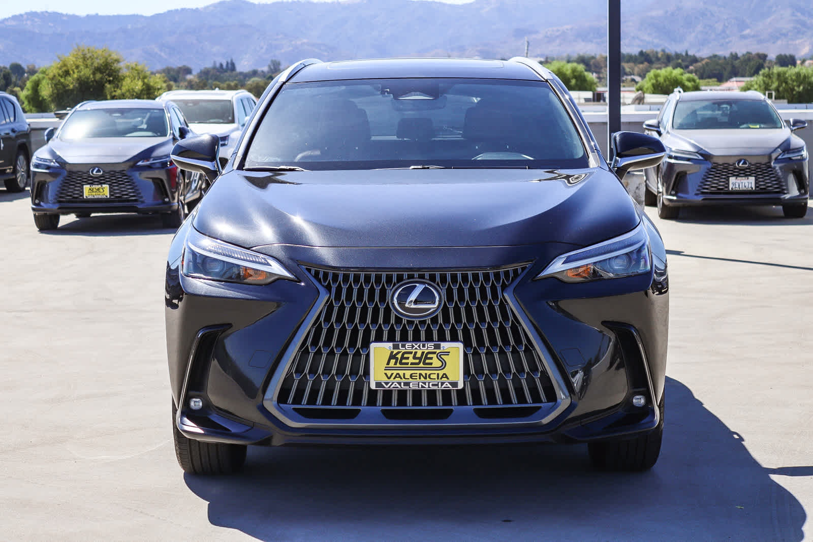 Used 2024 Lexus NX 350 AWD w/ Cold Area Package image 6