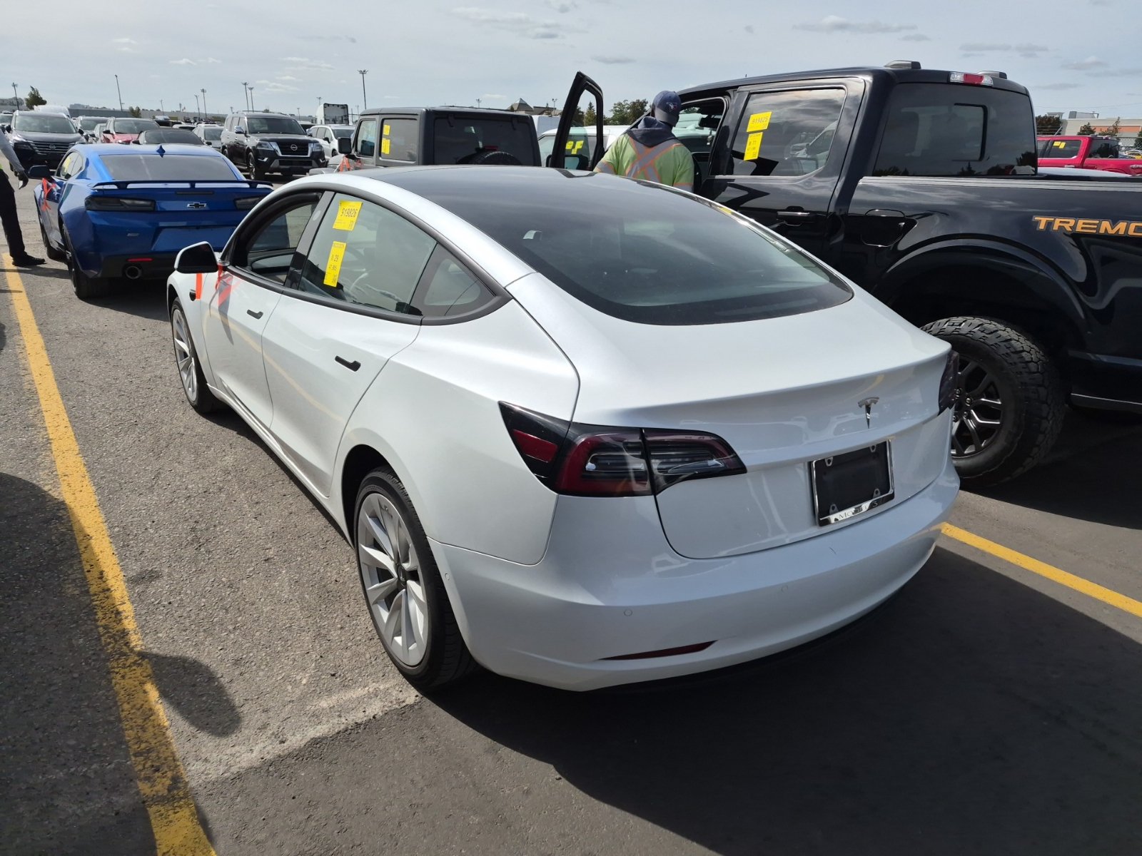 Used 2021 Tesla Model 3 Standard Range Plus RWD image 6