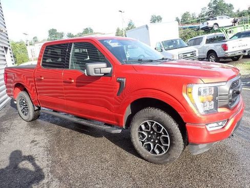 Used 2023 Ford F150 XLT w/ Equipment Group 302A High AWD/4WD image 11