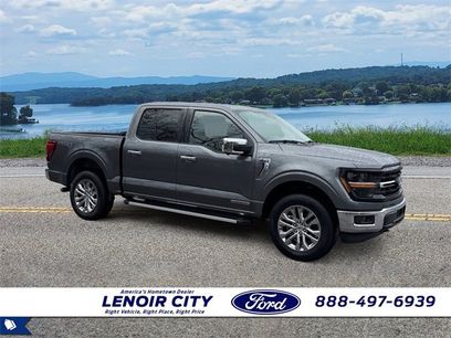 Used 2025 Ford F150 XLT w/ Equipment Group 302A MID