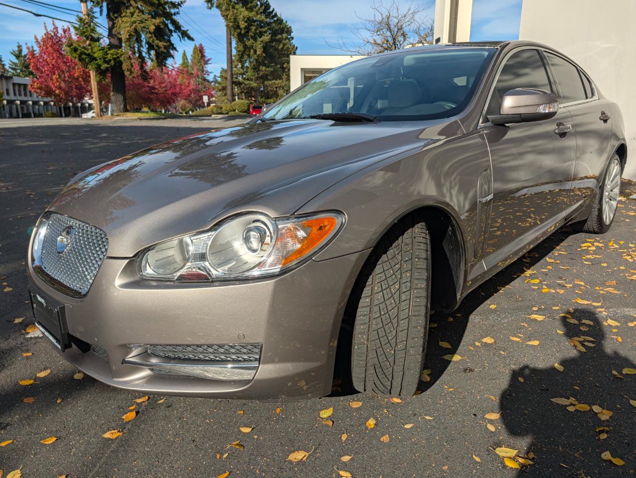 Used 2009 Jaguar XF Premium RWD image 3