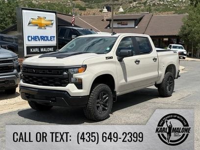 New 2026 Chevrolet Silverado 1500 Custom Trail Boss w/ Dark Appearance Package