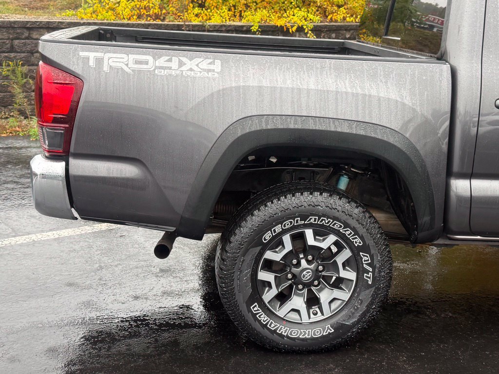 Used 2019 Toyota Tacoma TRD Off-Road AWD/4WD image 9