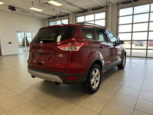 Used 2014 Ford Escape SE w/ Equipment Group 201A image 5